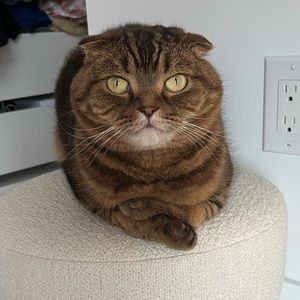 Meet your Posher, Kit